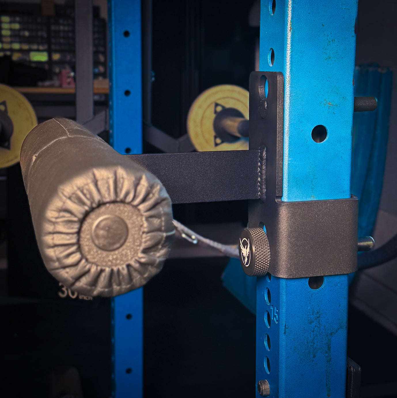 Power Rack Knee Pad & Leg Holder – Caracara Metal